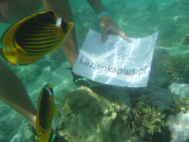 I miejsce - Olga Kopyt I miejsce - Olga Kopyt