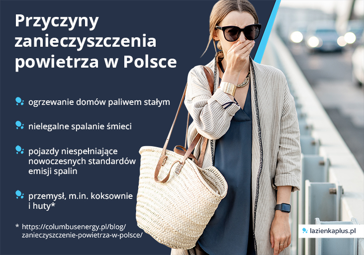 Przyczyny zanieczyszczenia powietrza w Polsce - infografika