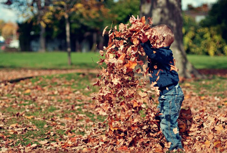 mały chłopiec bawiący się w jesiennych liściach