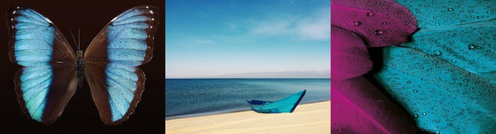 Matka natura – najlepsze źródło inspiracji!