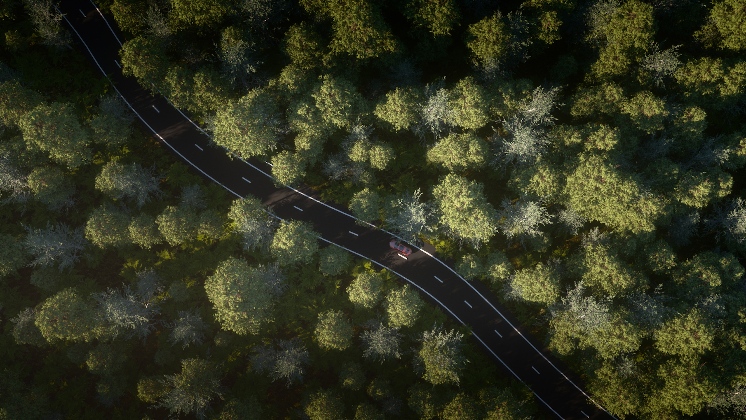 las widok z lotu ptaka