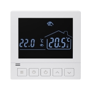 Termoregulatory i sterowniki